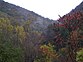 Late Indian summer at Mohawk trail, MA/VT