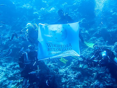 Ta hepotinulopa lonto Jerman hetekeniya wolo bandera Wikipedia Hulontalo to delomo deheto Halmahera.