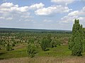 Hilfe! Die Lüneburger Heide entwässert zu stark nach Osten