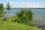 Sjön Schaalsee