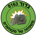 סמל גדוד 8163