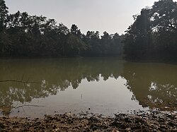 Lake in Madhupur National Park