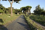 一條羅馬大道，有樹木和植物圍繞