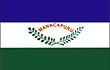 Vlag van Manacapuru