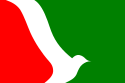 Dipartimento di Oberá – Bandiera