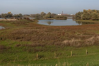 De Kaliwaal bij Leuth