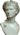 Bust of the Augustus Bevilacqua - trasparent background.png