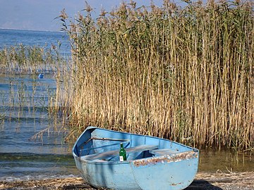 Чамец на Охридското Езеро