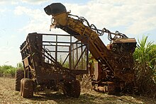 Mechanized harvesting of sugarcane, Piracicaba, Sao Paulo, Brazil. Canaviais Piracicaba 05 2009 5809.JPG