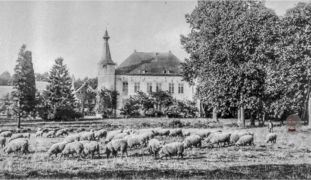 Château Terkeelen (Melveren, Saint-Trond, Belgique).