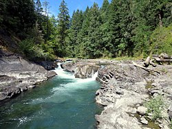 Среднее течение реки летом 2013 года.