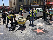 Trump's star under repair, soon after it was vandalized on July 25, 2018 Donald Trump's Hollywood Walk of Fame Star being repaired.jpg