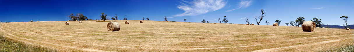 Панорама сільськогосподарського ландшафту в Омео, Вікторія, Австралія