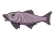 A fish.