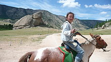 Une enfant sur un cheval marron et blanc qui marche, vus de profil.