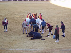 Arrastre d'una corrida goyesca