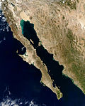 Sličica za Kalifornijski zaliv