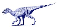 Elaf Heterodontosaurus tucki.