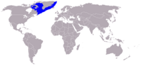 Distribución mundial da foca de capelo.