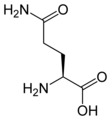 L-glutamine Gln, Q