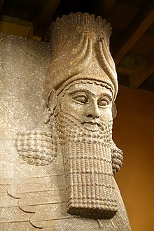 Description de l'image Lamassu head - Palace of Sargon II, Khorsabad - Oriental Institute Museum, University of Chicago - DSC07532.JPG.