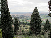 Panorama of the city of Florence from the villa