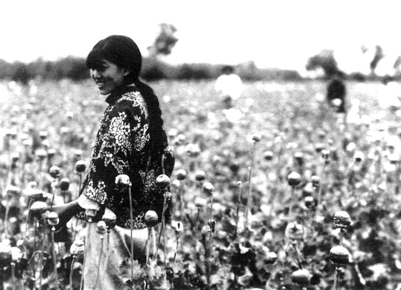 Image:Manchukuo-poppy harvest.jpg