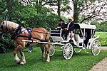 Miniatura para Coche de caballos