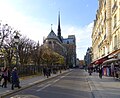 Vue du pont Saint-Louis.