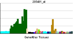 PBB GE ADORA1 205481 at tn.png