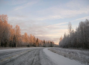 The Parks Highway on the way to Fairbanks, Alaska