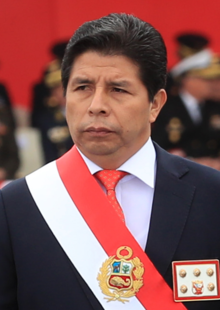 Pedro Castillo portrait.png