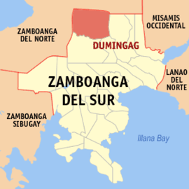 Dumingag na Zamboanga do Sul Coordenadas : 8°9'18"N, 123°20'42"E