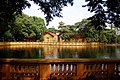 Carp pond on the grounds of the palace