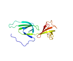 Протеин EIF5A PDB 1FH4.png