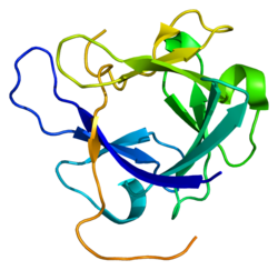 Белок FGF19 PDB 1pwa.png