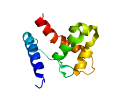 Белок KDM5A PDB 2JXJ.png