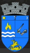 Wappen von Sângeorgiu de Pădure
