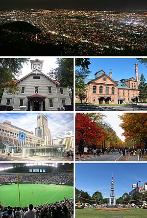 Sapporo montage.jpg