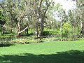 Rowes Bay Golf Club wetlands near the 11th hole.