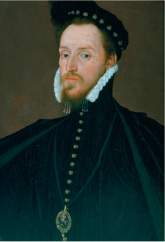 Steven van Herwijck Henry Carey 1st Baron Hunsdon.png