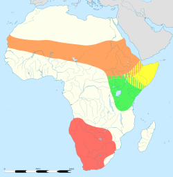 Bản đồ phân bố Struthio camelus      S. c. camelus       S. molybdophanes      S. c. massaicus       S. c. australis