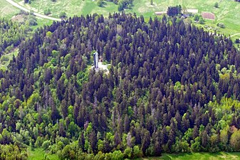 Suur Munamägi sett från luften.