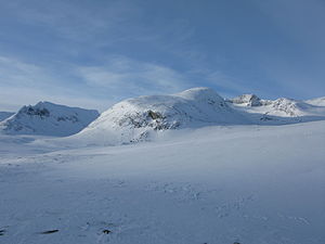 Sylarna på vintern