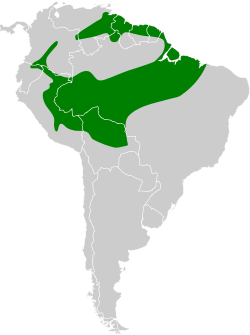 Distribución geográfica del pijuí coronipardo.