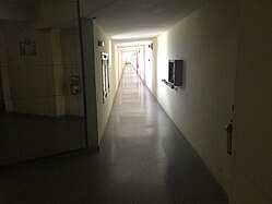 Tenant corridor, looking north. Alternates in section with service corridors.