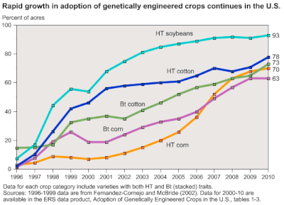 Genetically modified crops in Africa.