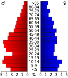 Schéma représentant la population du comté, par tranche d'âge. En rouge, à gauche, les femmes, en bleu à droite, les hommes.