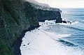 Vertical cliffs facing the sea are the habitat for Plantago leiopetala. Porto Moniz.