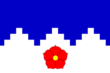 Vlag